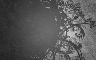 Grey Blossom By Thedarkenedpoet