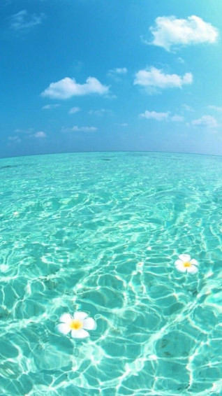 Take In The Of This Tropical Beach With Your Phone