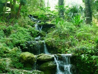 Wallpaper Waterfalls Waterfall Desktop Background Html