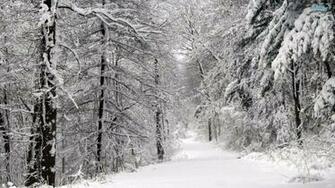 Amazing Snow Storm 4k Winter Wallpaper