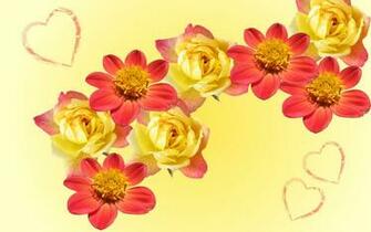 Orange Flower Wallpaper
