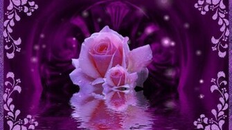 Beautiful Pictures