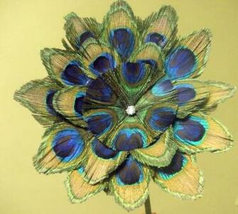 Peacock Feather Image Chainimage