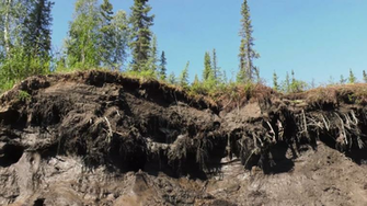 Arctic Shifts To A Carbon Source Due Winter Soil Emissions Nasa