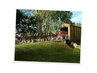 Budweiser Clydesdales Carriage Standard Image Brands Ads