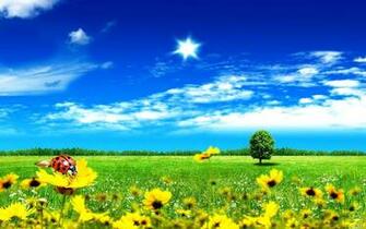 Summer Screensavers And Wallpaper Landscape Photos Of