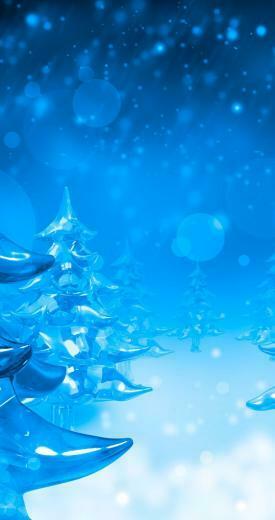 Pines Formed From Ice Winter HD Wallpaper