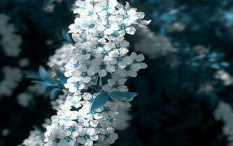 Spectacular Wallpaper 1080p Unmarked