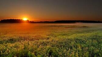 Sunset Disk Orange Sun Twilight Time Of Day Wallpaper