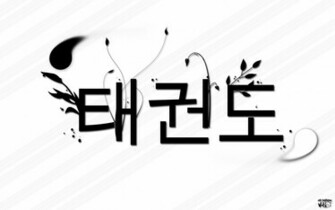 Taekwondo Wallpaper