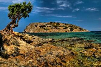 Green Leaf Tree Near Body Of Water Mochlos Crete HD Wallpaper