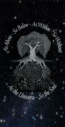 Tree Of Life Wallpaper Background My Phone