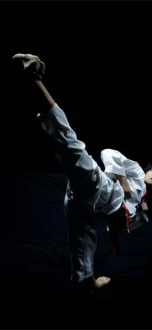 File Kocis Taekwondo Performance By K Tigers Jpg M iPhone