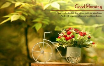 Good Morning HD Wallpaper Most Pictures Desktop