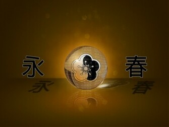 Wallpaper Wing Chun By Feurius Customize Org