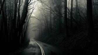 HD Dark Woods Bacgrounds Net