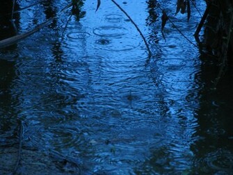 Raindrops Wallpaper X HD
