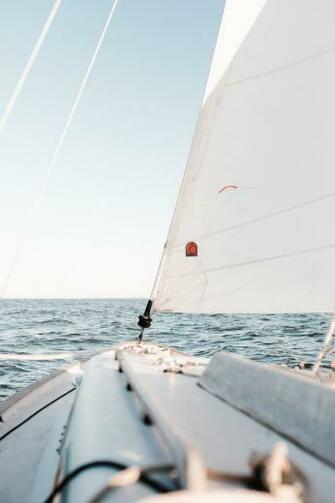 Sailing Pictures Image
