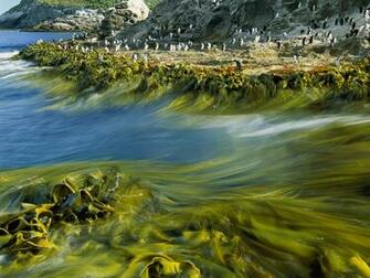 Coastline Photo Wallpaper National Geographic Of The Day