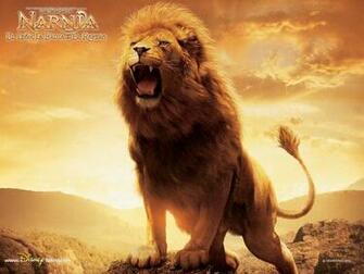 Aslan Wallpaper