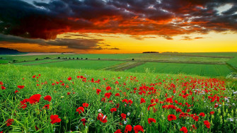 HD Nature Wallpaper For Desktop