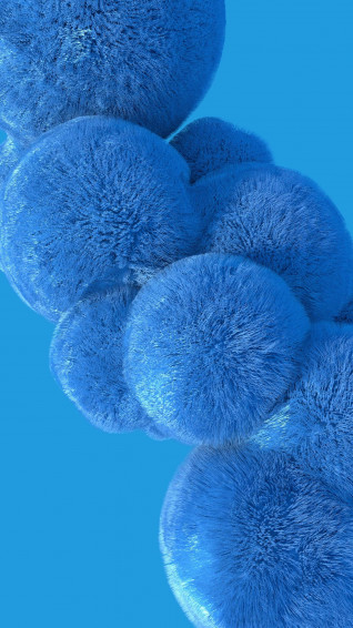 Fur Wallpaper