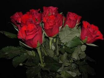 Kamal Ka Phool Wallpaper Romantic Rose Good Night HD