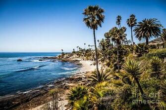 Picture Of Orange County California Photograph By Paul Velgos