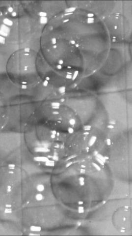Lexie Juceam On Wall Black And White Photo