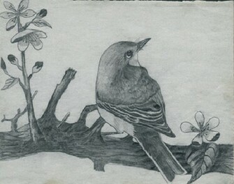 Pencil Art Inspirational Quotes Wallpaper