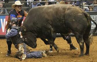 Top Pbr Bull Riding Wallpaper Image For