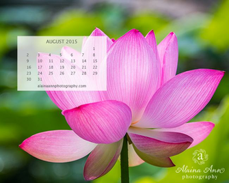 August Wallpaper Calendar Alaina Ann Photography