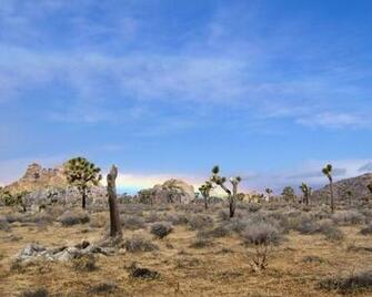 Joshua Tree National Park Desktop Wallpaper Iskin Co Uk