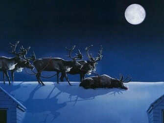 Sleeping On The Job Reindeer Christmas Animals Wallpaper Image