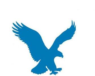 American Eagle Logo Wallpaper