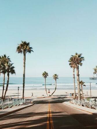 Beach And Palms In Oceanside California Domestic Shipping On