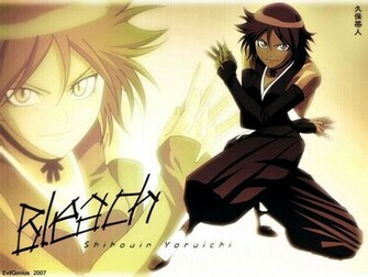 Yoruichi Fan Club Wallpaper
