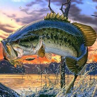 Largemouth Bass Fishing Wallpaper Screensaver Jpg