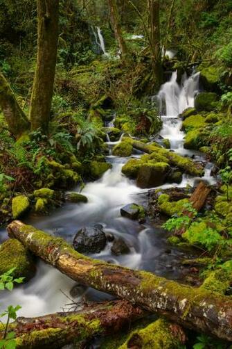 Spring Cascade Traveler Photo Contest National Geographic