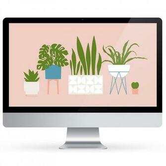 House Plant August Calendar Wallpaper Sarah Hearts