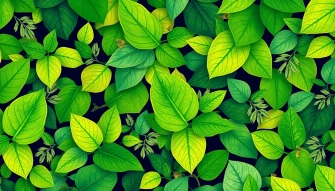 Bright Green Wallpaper