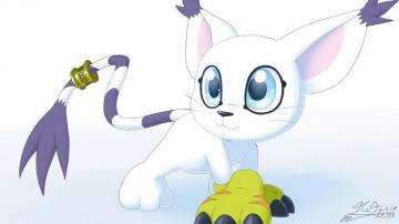 Gatomon Wallpaper By Milesnukem