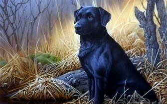 Ebony Wallpaper In Resolution