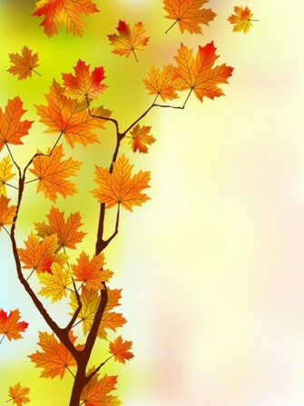 Fall Of Maple Leaf Elements Background Vector