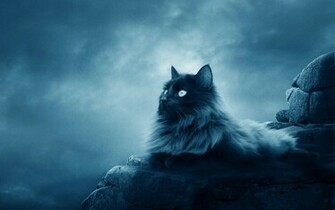 Nightmare Cat Exclusive HD Wallpaper