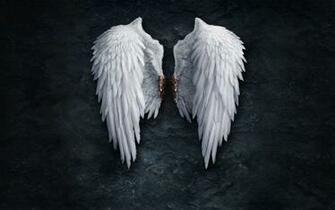Angel Wings Background Image