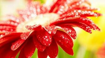 Best HD Natural Wallpaper Ever High Definition