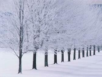 Be Winter Wp Content Uploads Wallpaper For Mac Jpg
