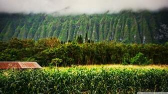 Oahu Highlands Wallpaper