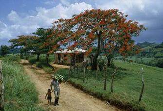 Genographic Project Dna Results Reveal Details Of Puerto Rican